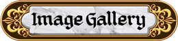Image Gallery
